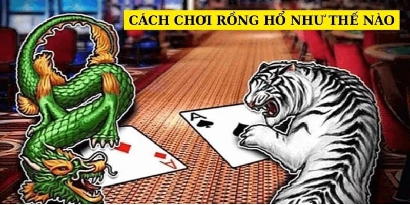 Cách chơi Rồng Hổ trực tuyến như thế nào?